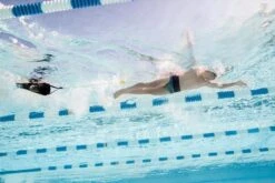 FINIS Drag Fly -TYR Store 1.05.103 image usage 13