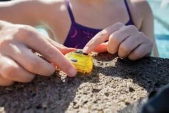 FINIS Tempo Trainer -TYR Store 1.05.120 image usage 23